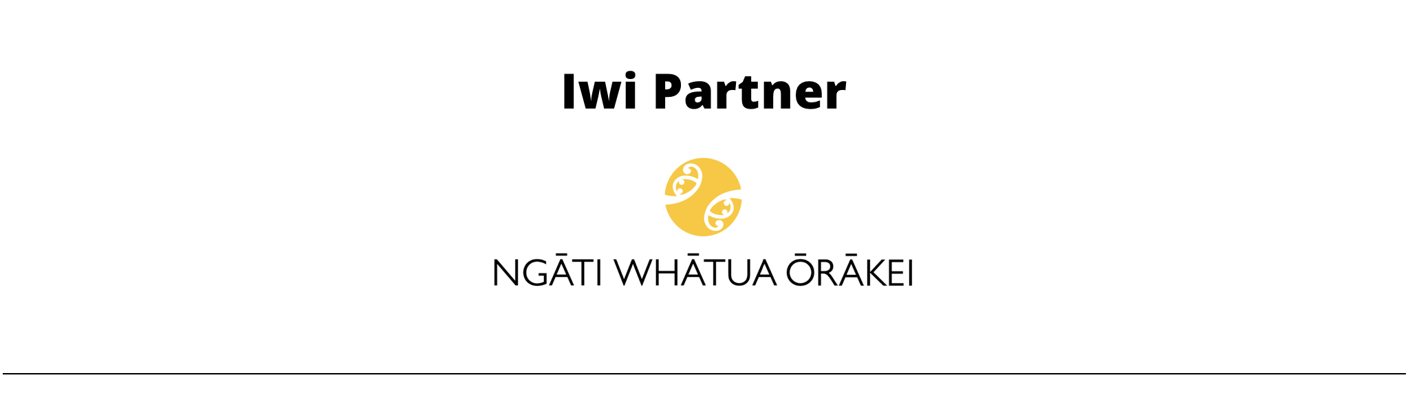 Iwi   Partner