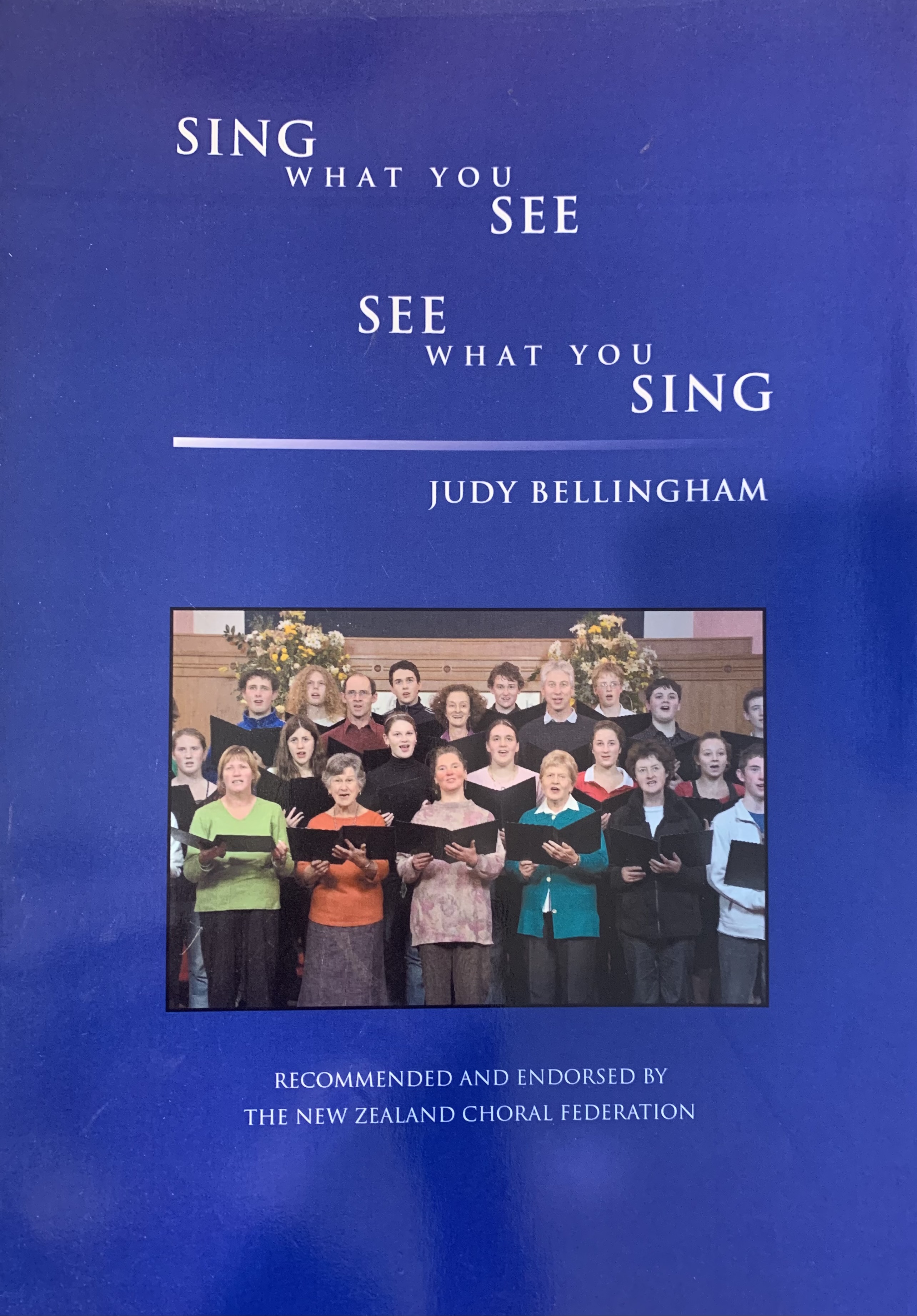 Sing   What   You   See  Cover Image