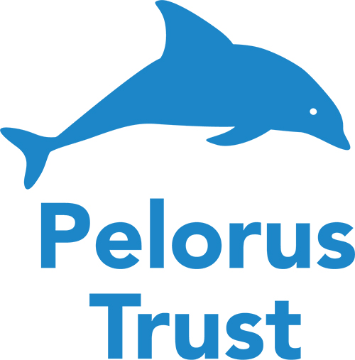 Pelorus Trust   Blue   Logo  500px