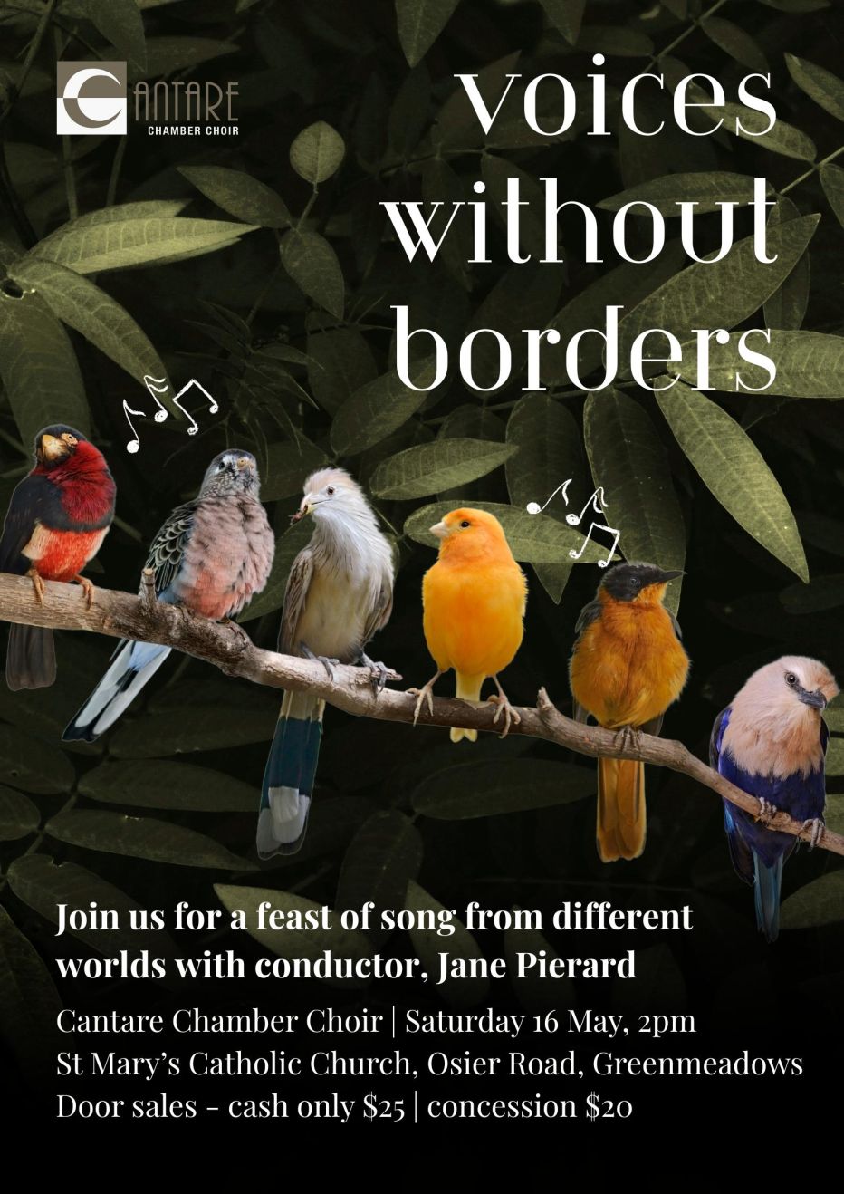 Cantare Chamber Choir: Voices Without borders