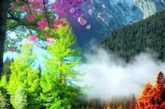 Palmerston North Choral: Singing the Seasons