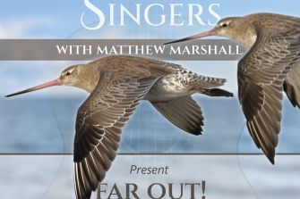Renaissance Singers: Far Out! Godwits and Guitars