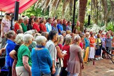 Fantastic Day at Nelson Summer SingFest