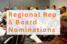 Regional Representative and Board nominations